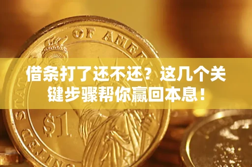 济南借条打了还不还？这几个关键步骤帮你赢回本息！
