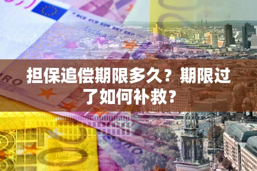 济南担保追偿期限多久？期限过了如何补救？