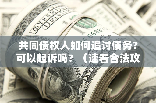 济南共同债权人如何追讨债务？可以起诉吗？（速看合法攻略）